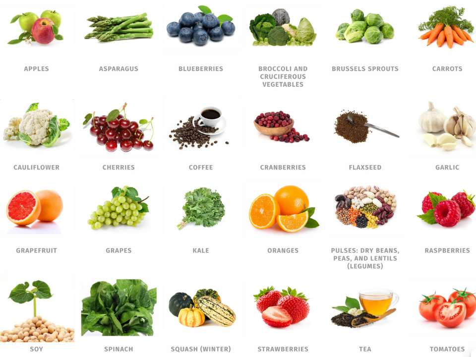 Screenshot of 24 various plant ´foods that fight cancer´ from American Institute for Cancer Research official website